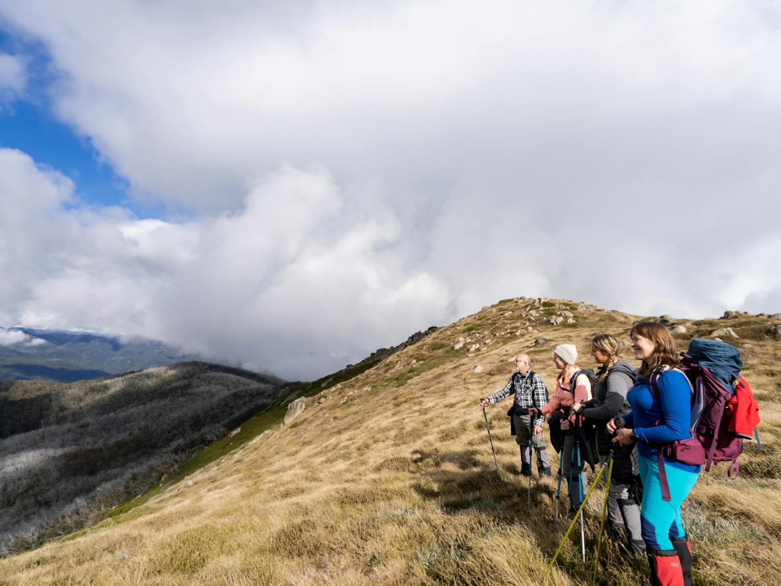 Hiking Mt Stirling to Craig's Hut with High Country Hiking Tours, Mansfield