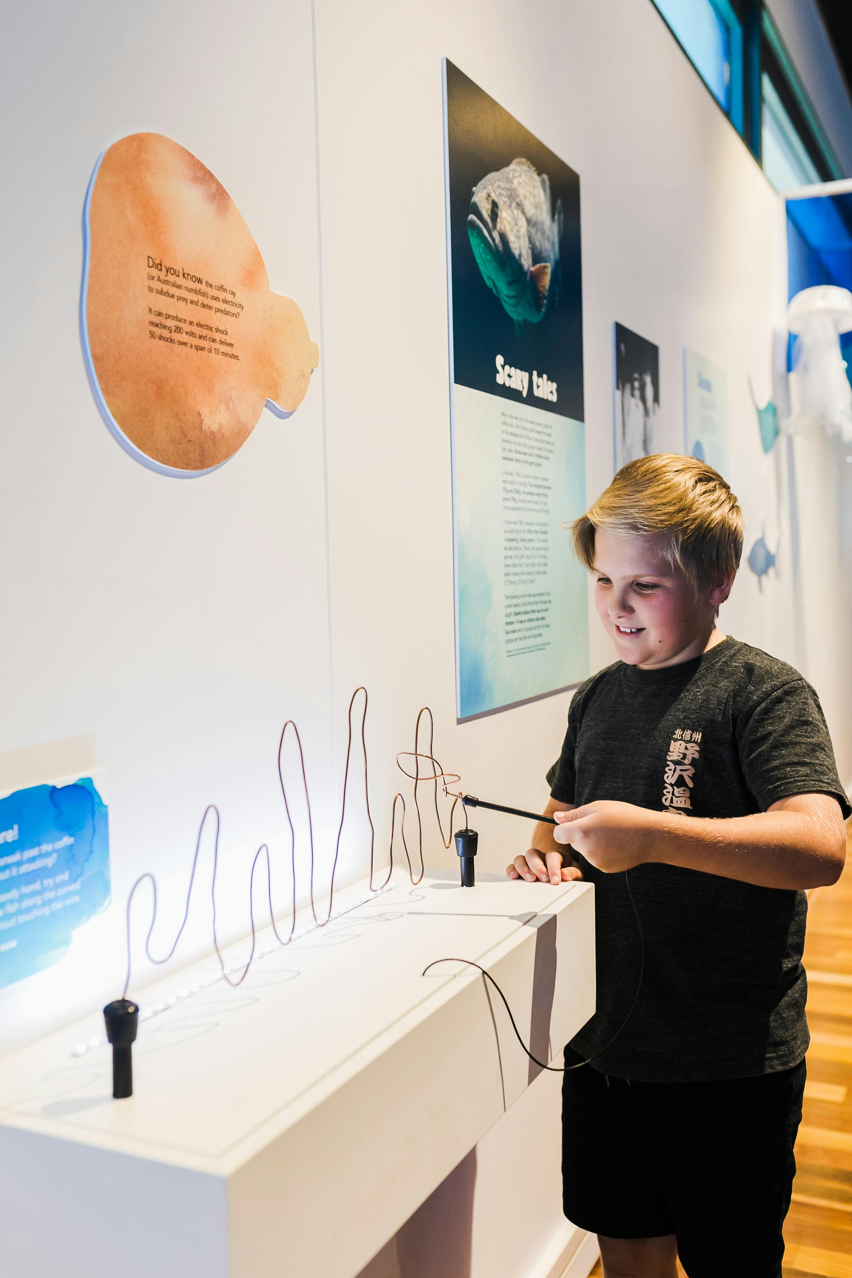 Boy interacting with museum display