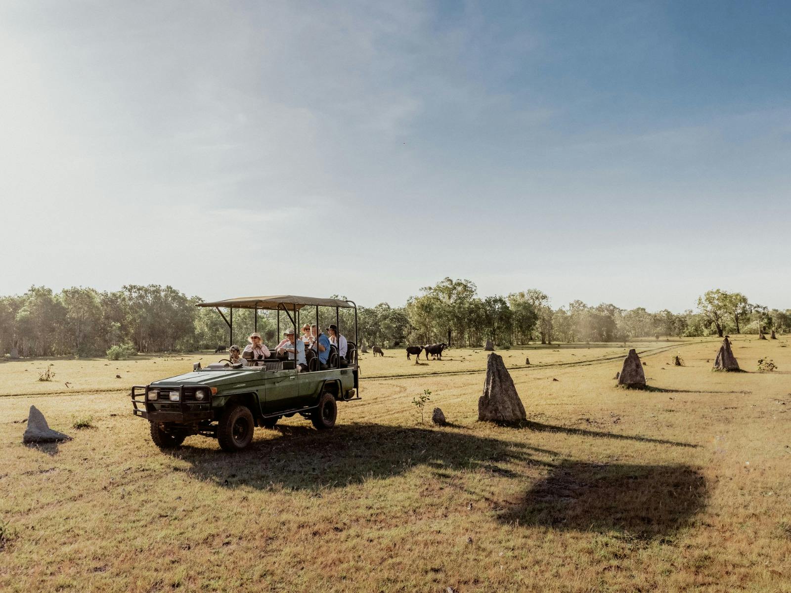 Bamurru Plains - Safari Drives