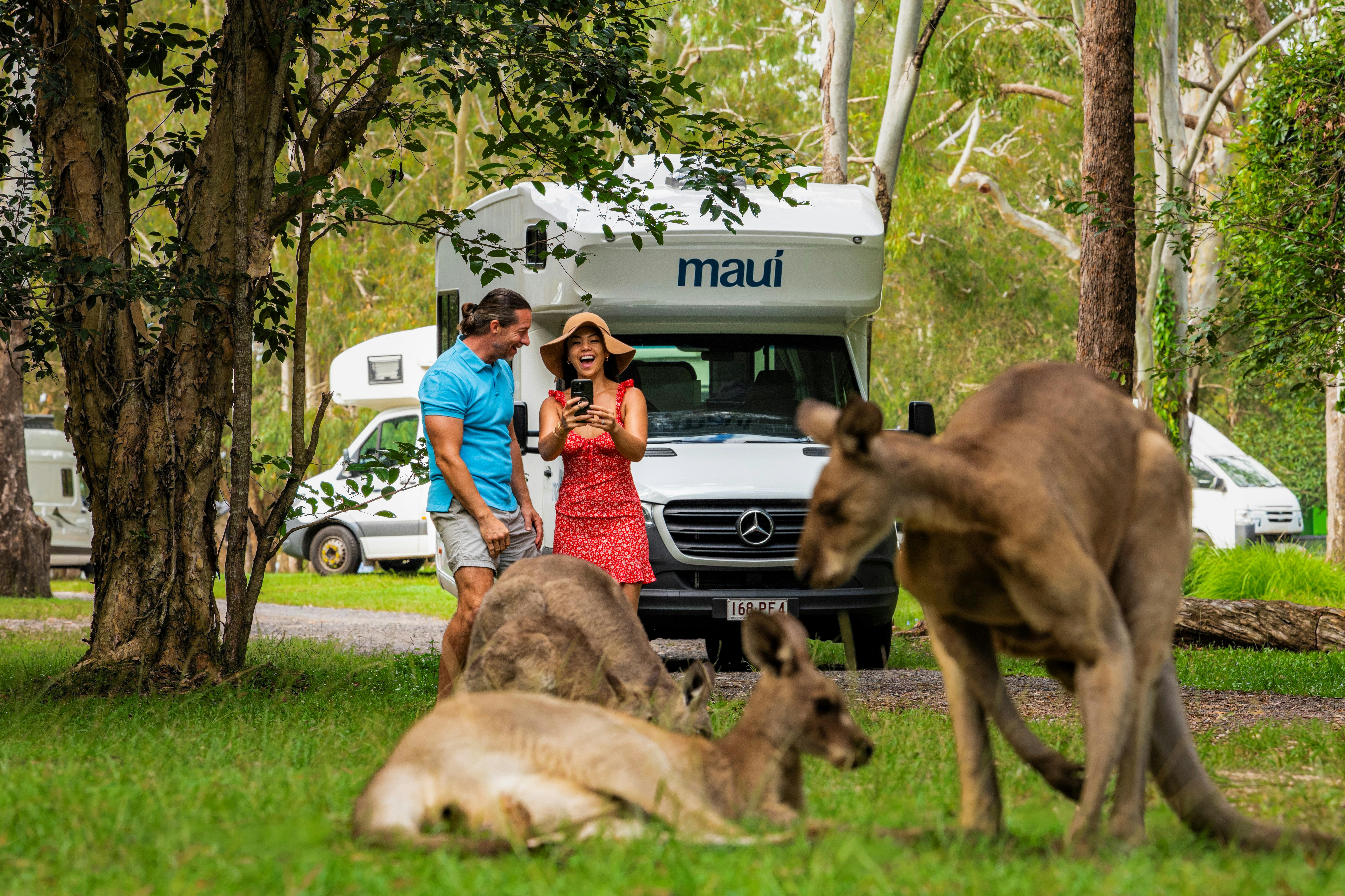 Camping with Kangaroos