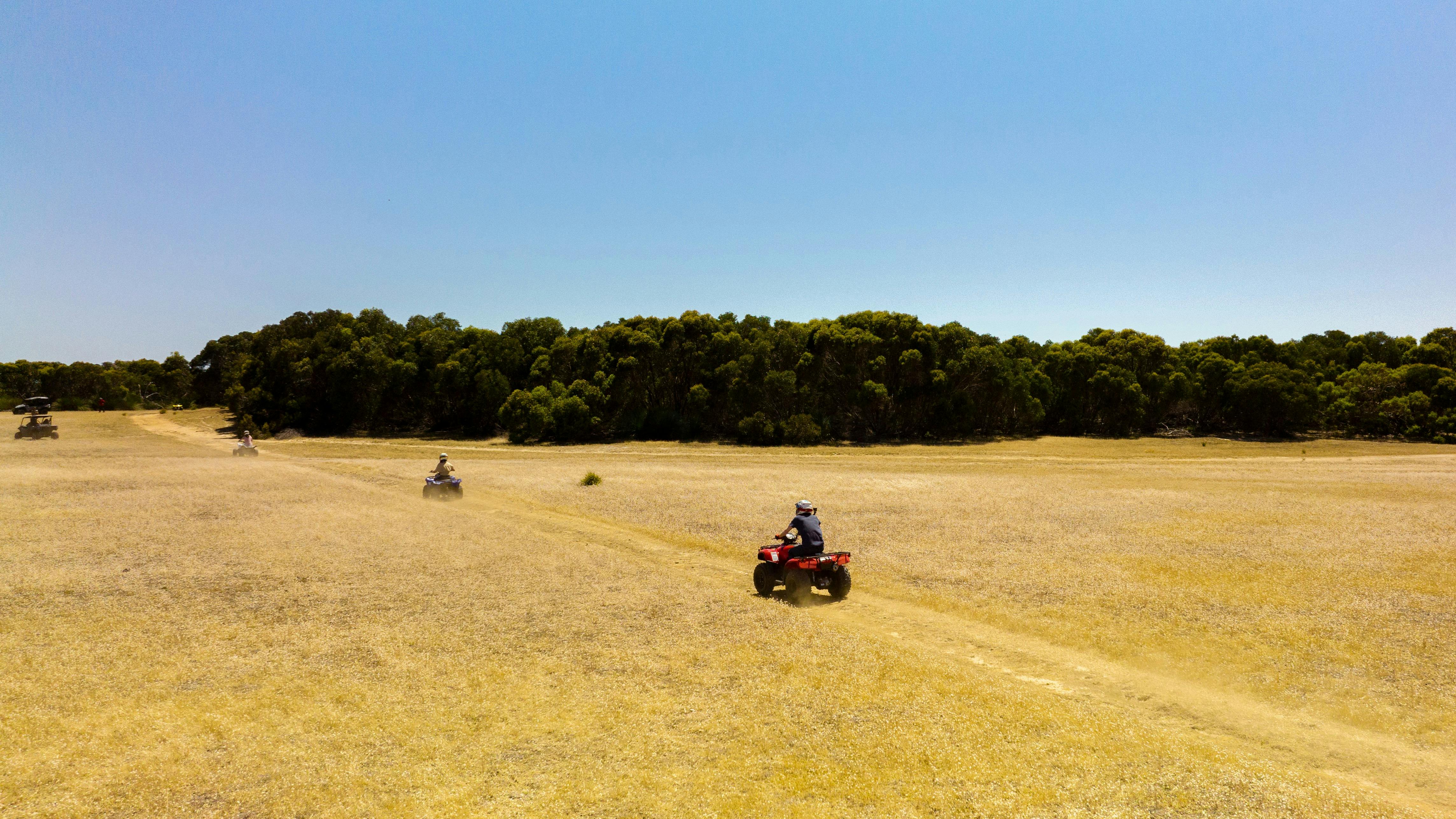 grasslands quad bike honda
