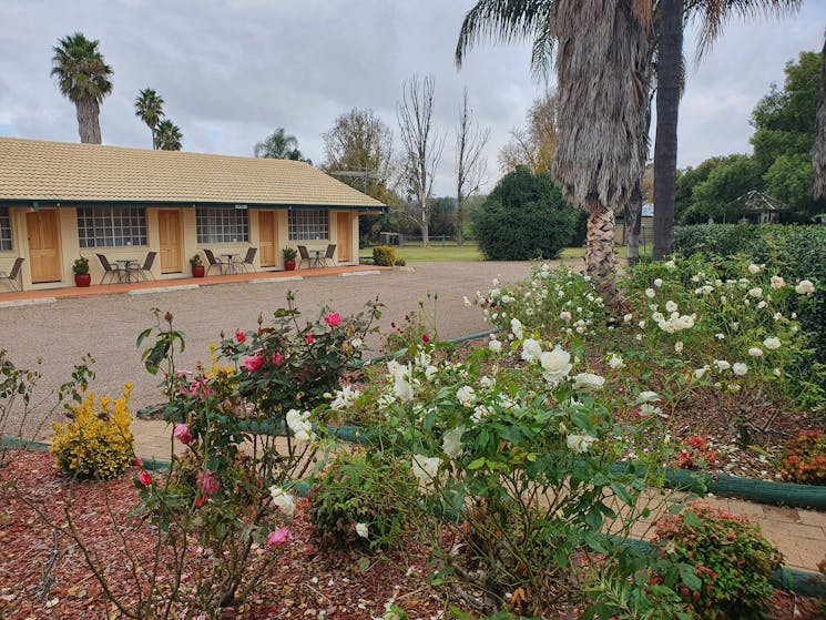 Outside view of Motel rooms from the Rose Garden