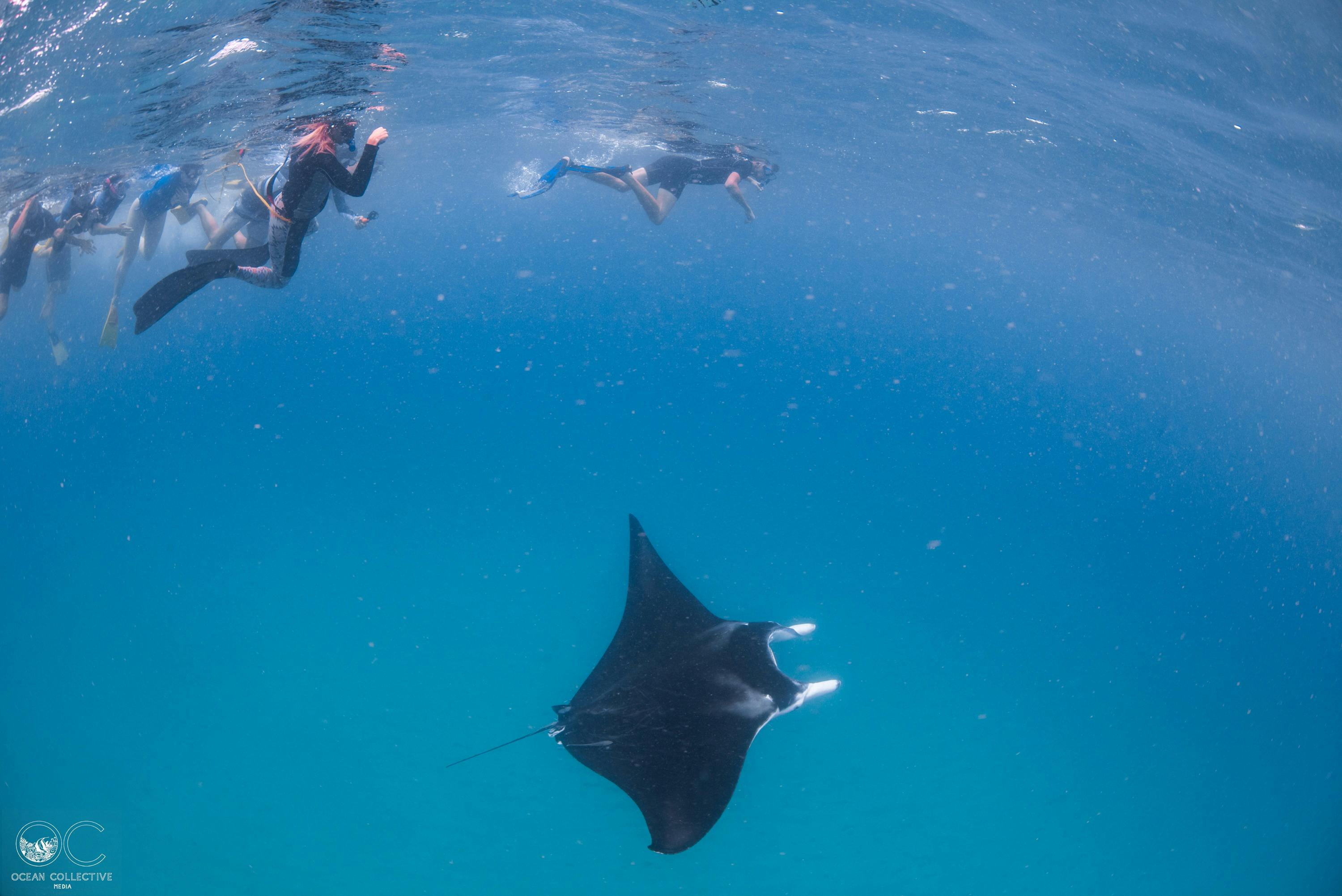 Ningaloo Coral Bay Boats, Coral Bay, Western Australia