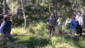 Field Trip - Burrill Lake