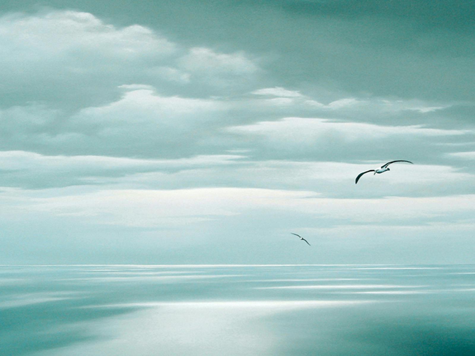 Albatross over Bass Strait. Oil painting by Richard Stanley. ( Award Winner )