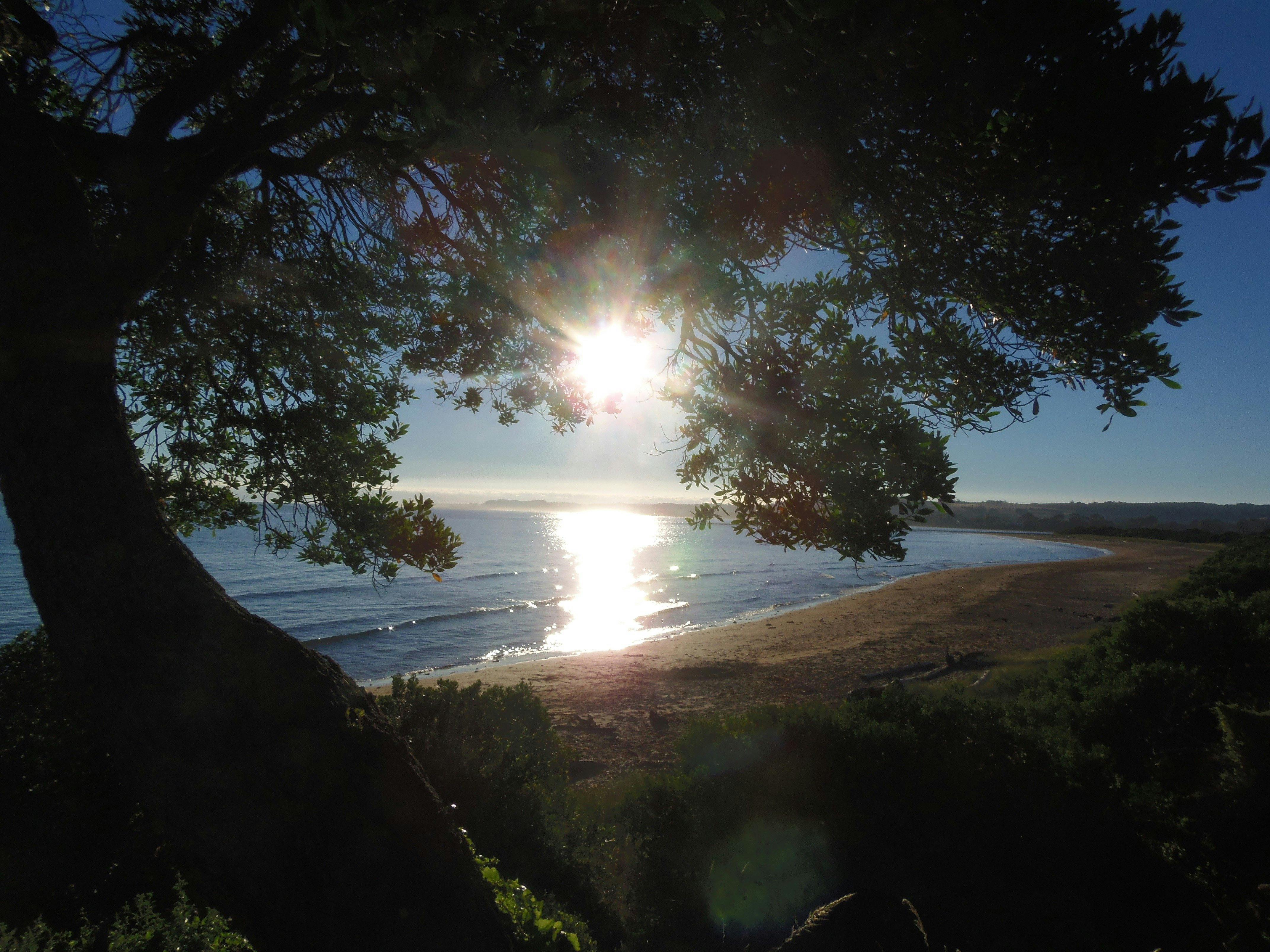 View From a Powered Site at Picnic Point