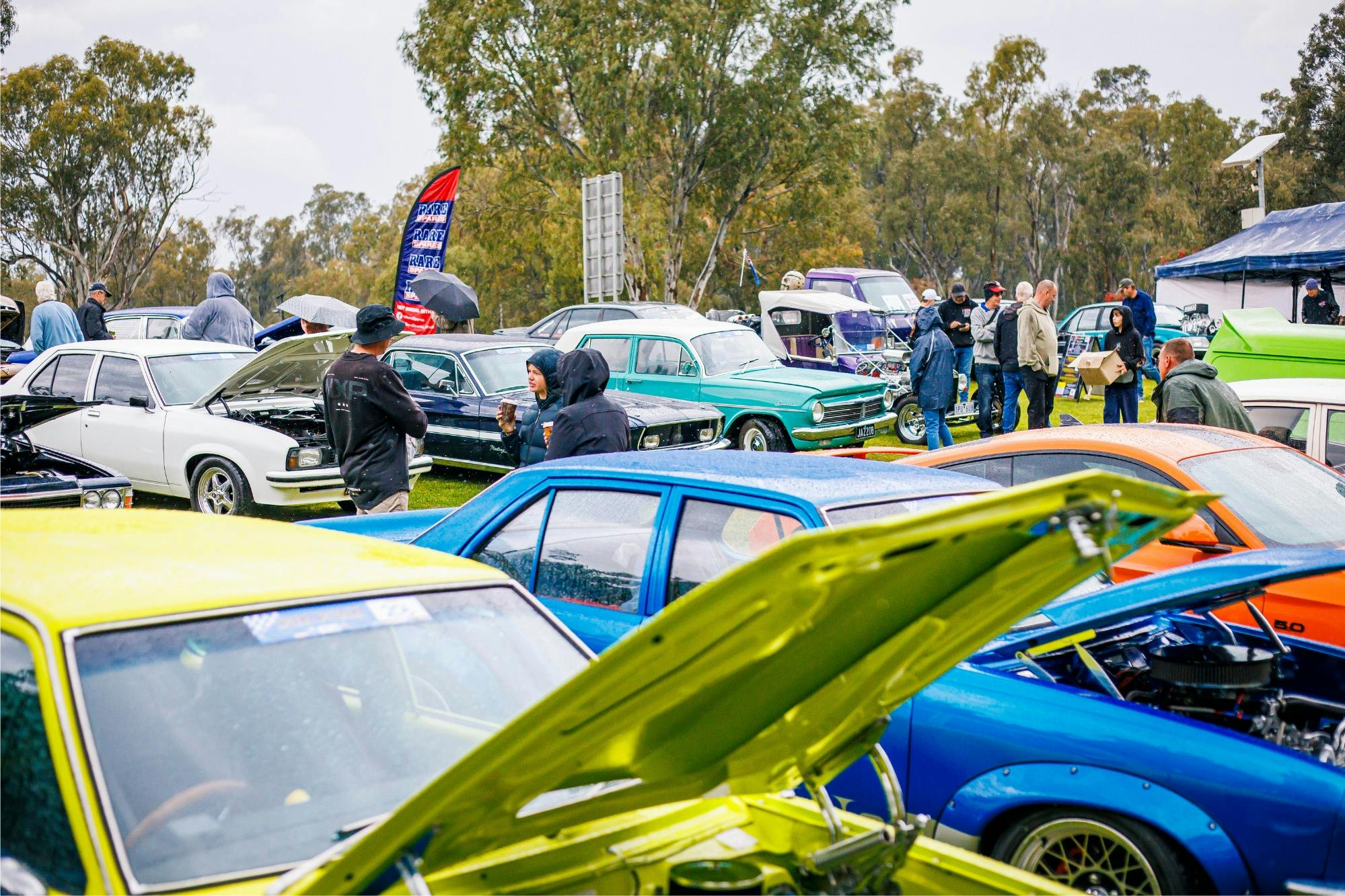 Show n Shine Festival