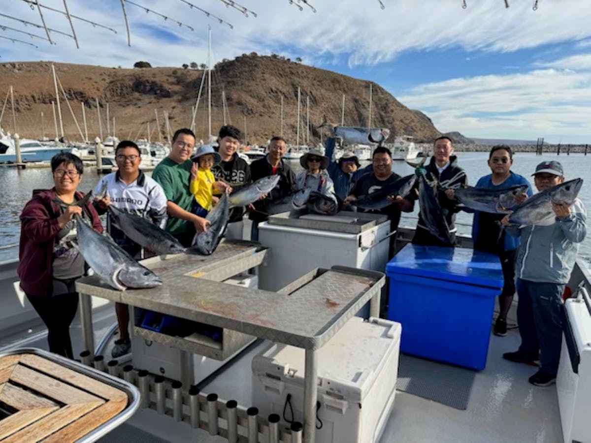 Bluefin Tuna are a regular catch in summer