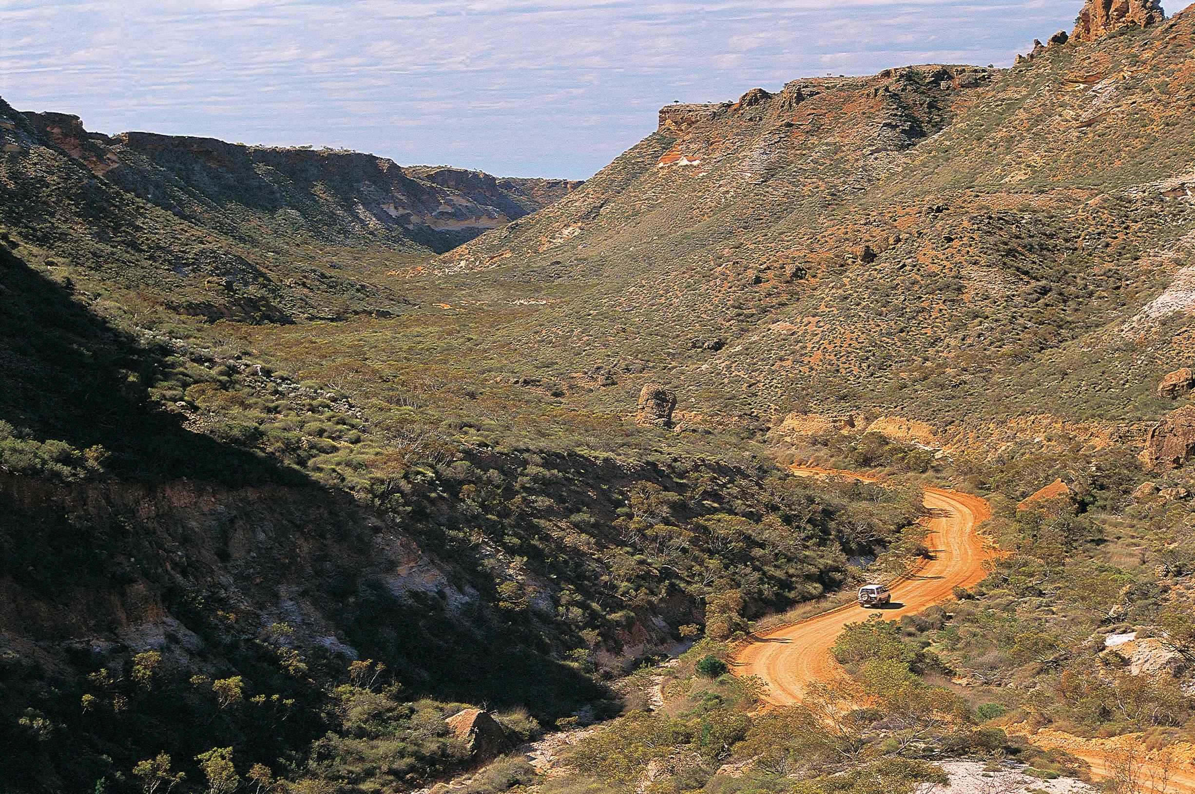Cape Range Wildflower Trail, Exmouth, Western Australia