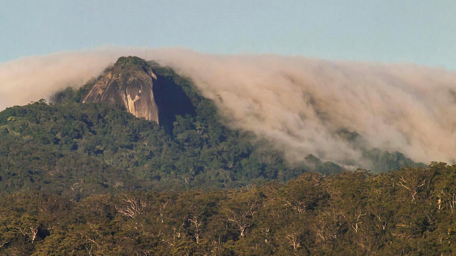 North Queensland Wildscapes Phototours