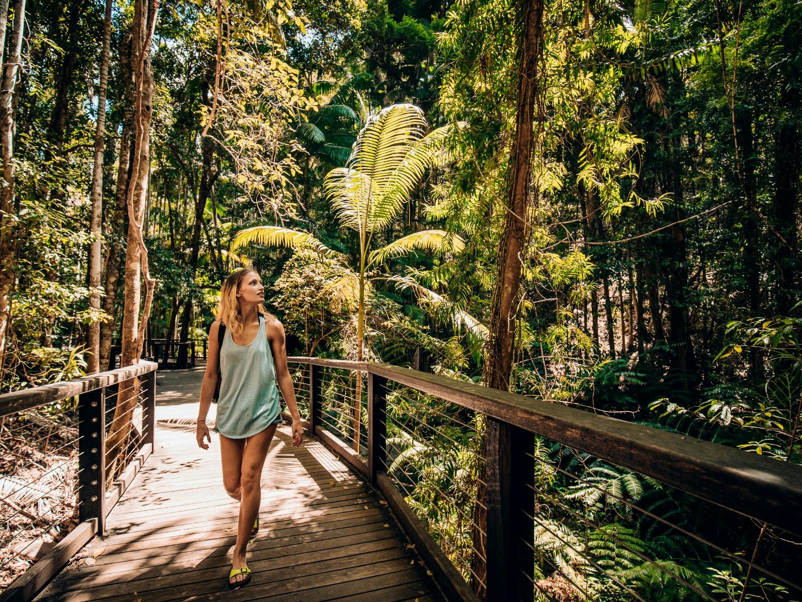 10 Day Budget Brisbane to Cairns Semi-Guided East Coast Tour