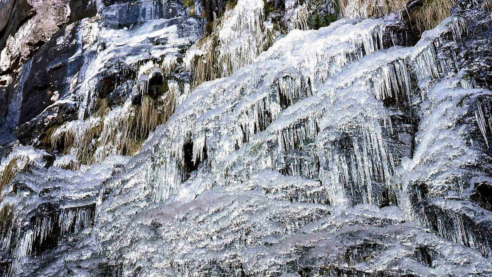 Weeping Rock Walking Track