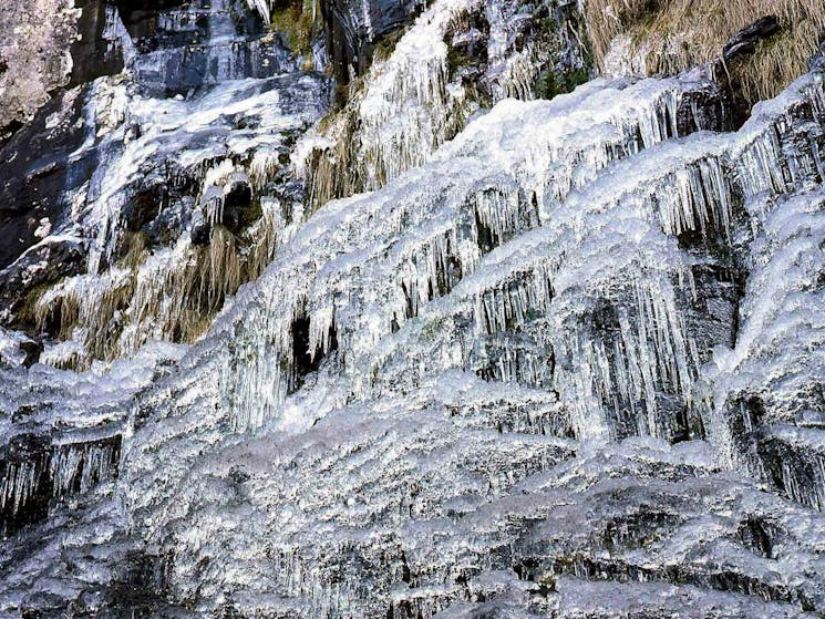 Weeping Rock walking track, New England National Park. Photo: N Fenton