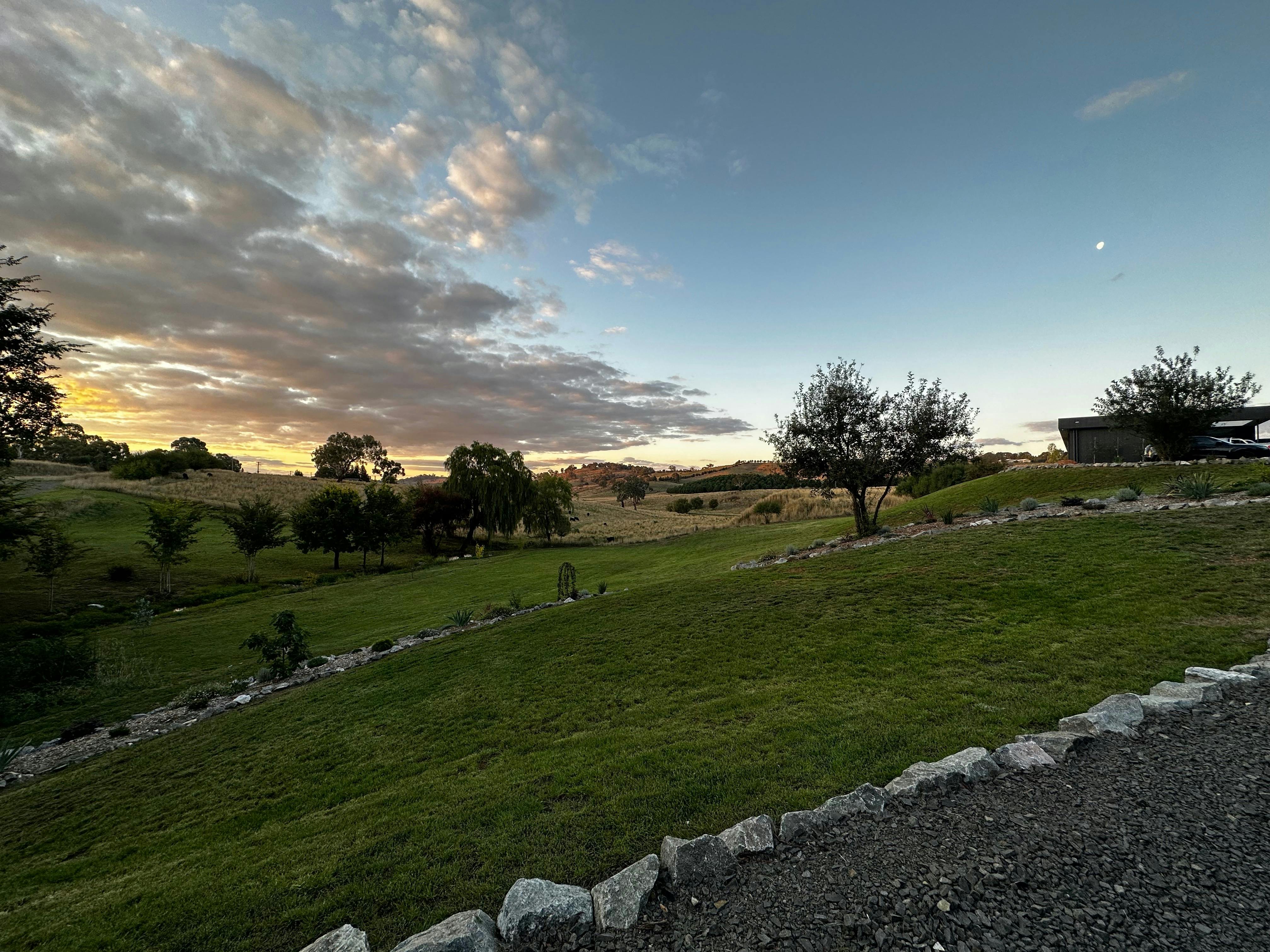 The Horned Cow -  View over the land