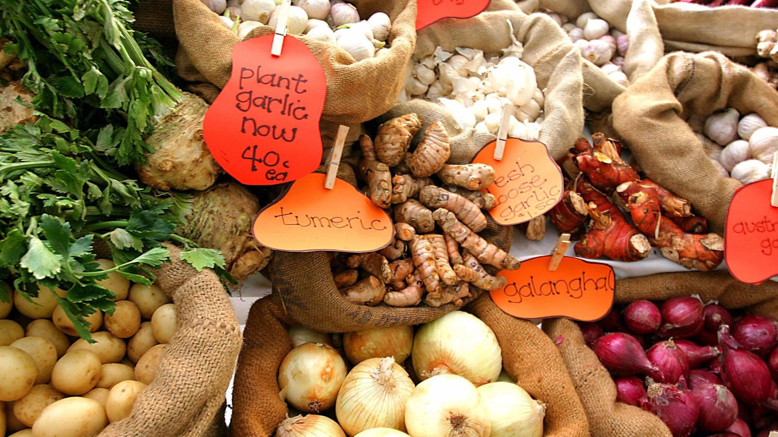 Sunshine Coast Food Trail