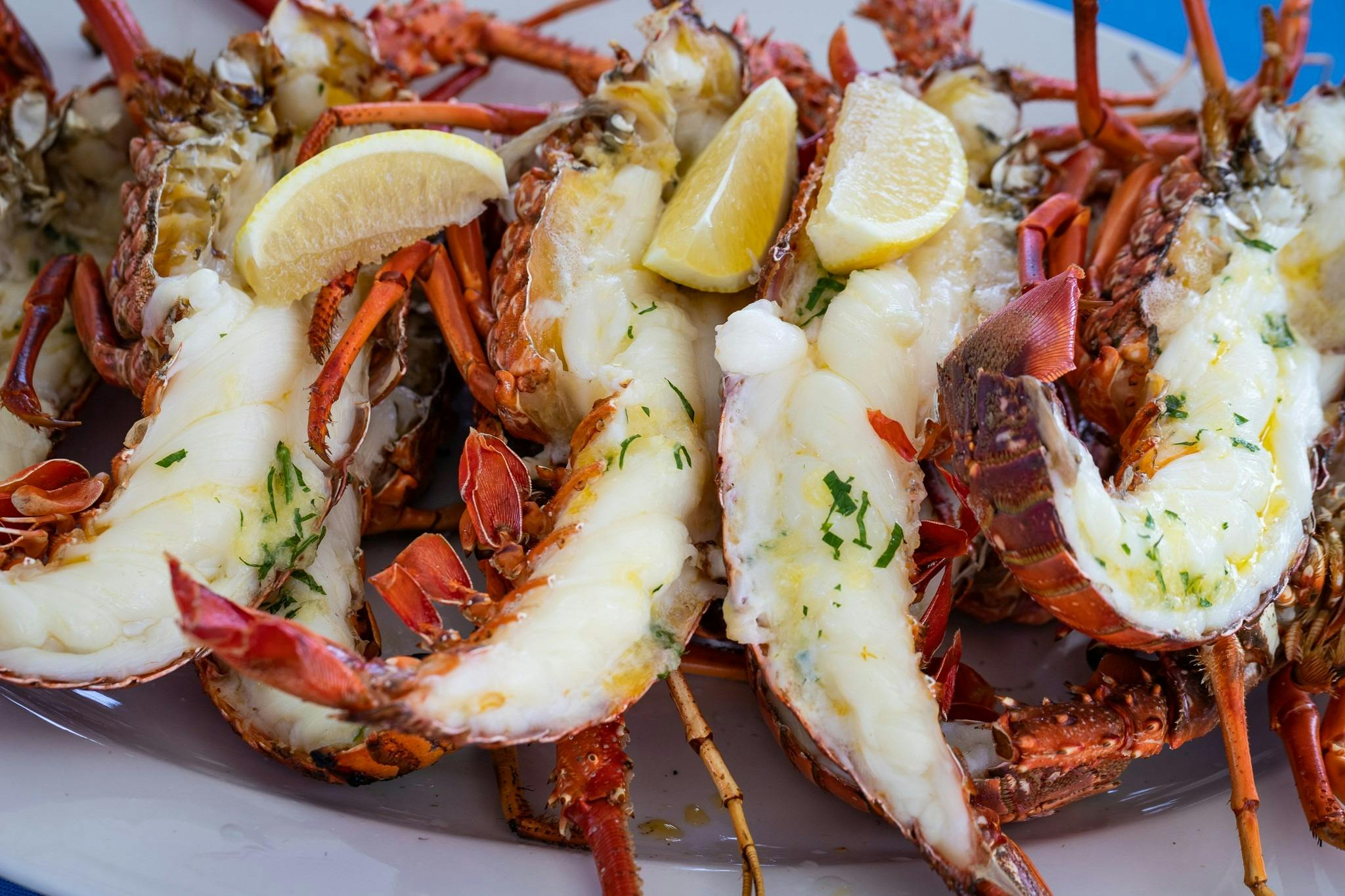 Fresh Kalbarri Crayfish