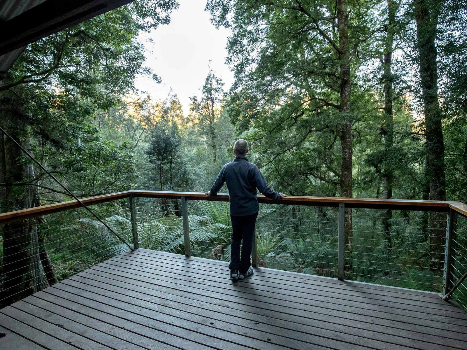 Tarkine Trails