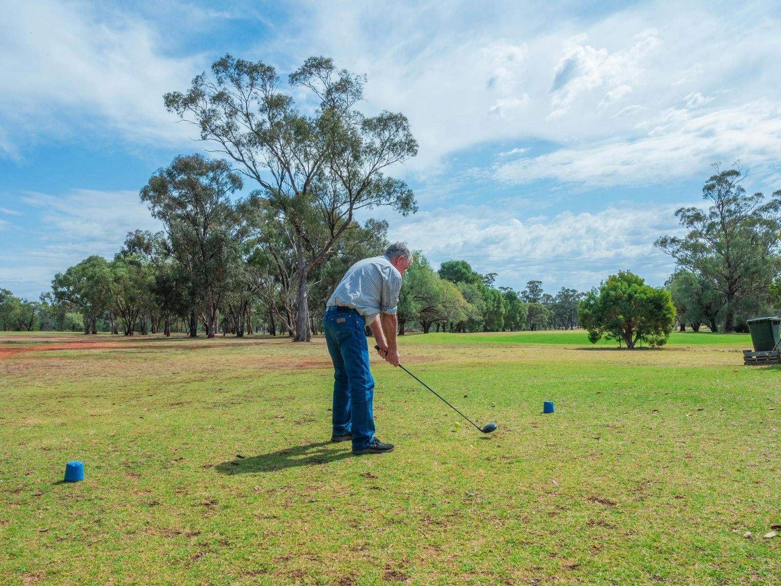 The Australian Naggers Cup