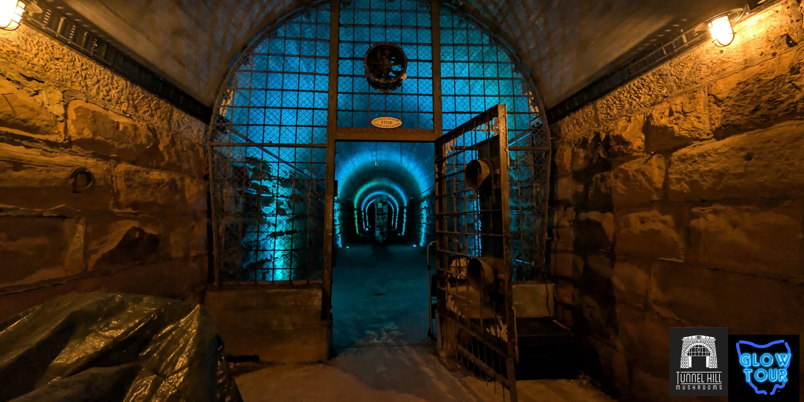 Glow Tour at Tunnel Hill Mushrooms