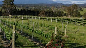 Rusty Fig Wines