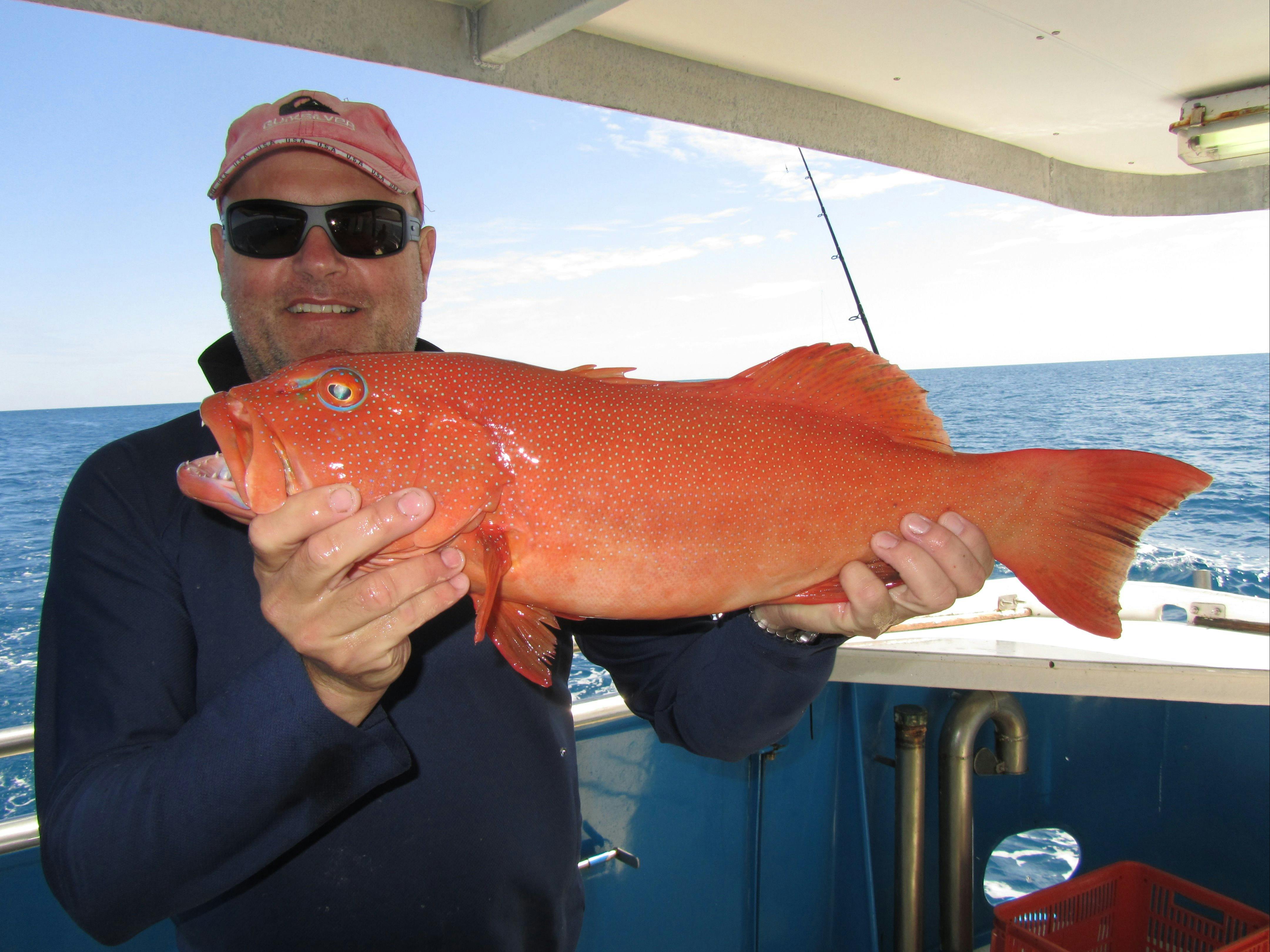 Coral Trout