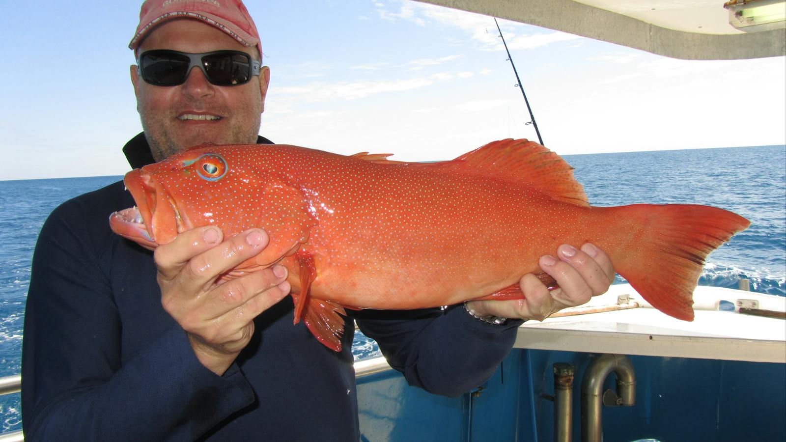Coral Trout