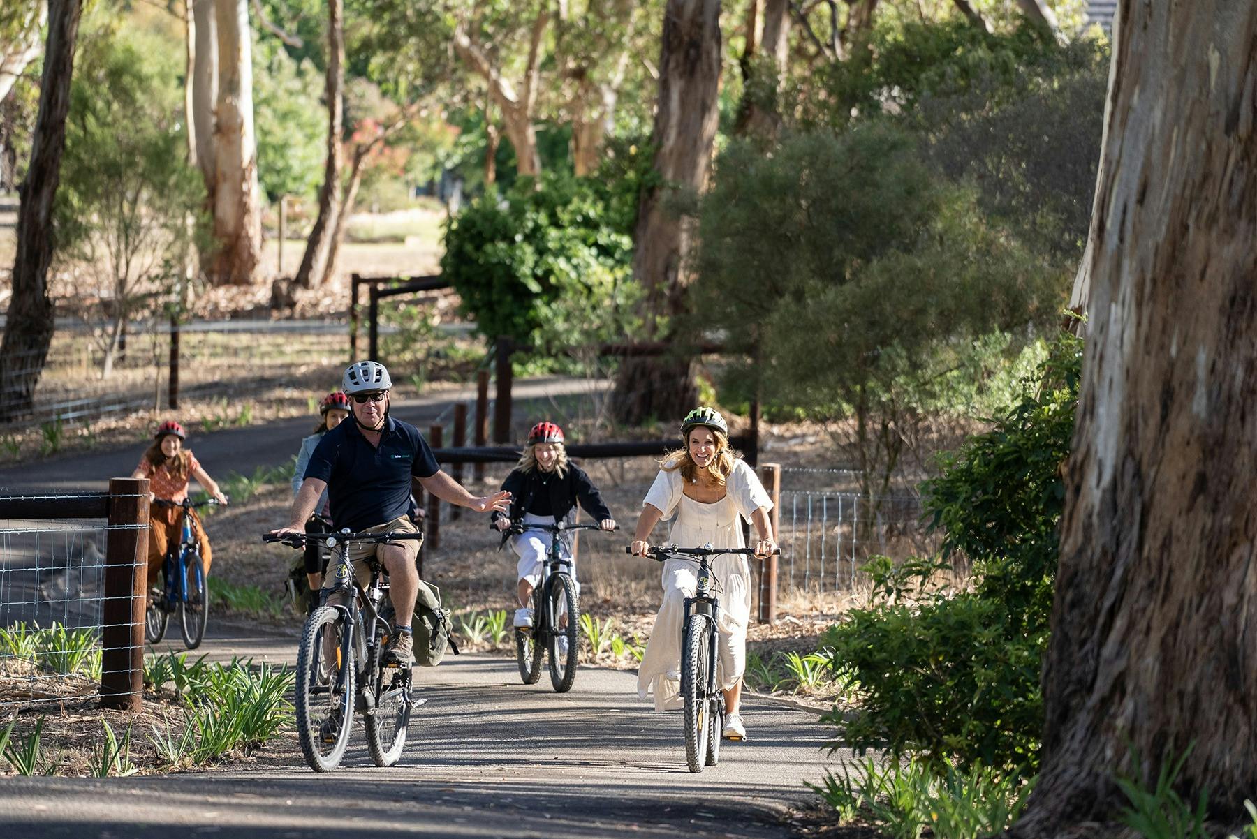 Cruise the Hills on an E-bike