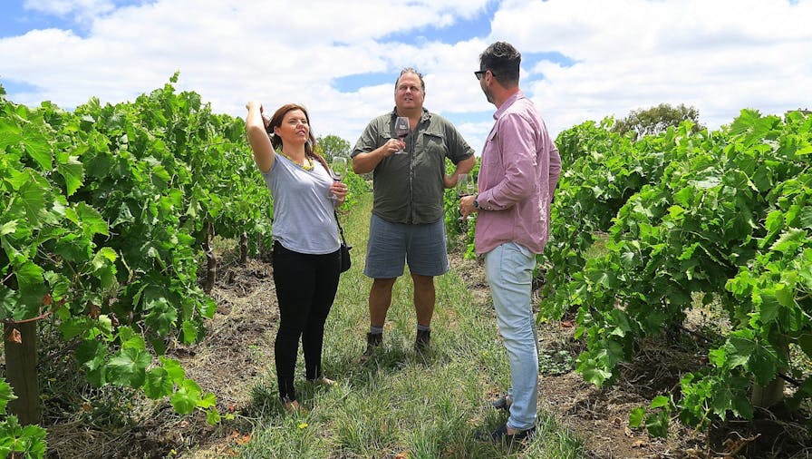 Uncork McLaren Vale