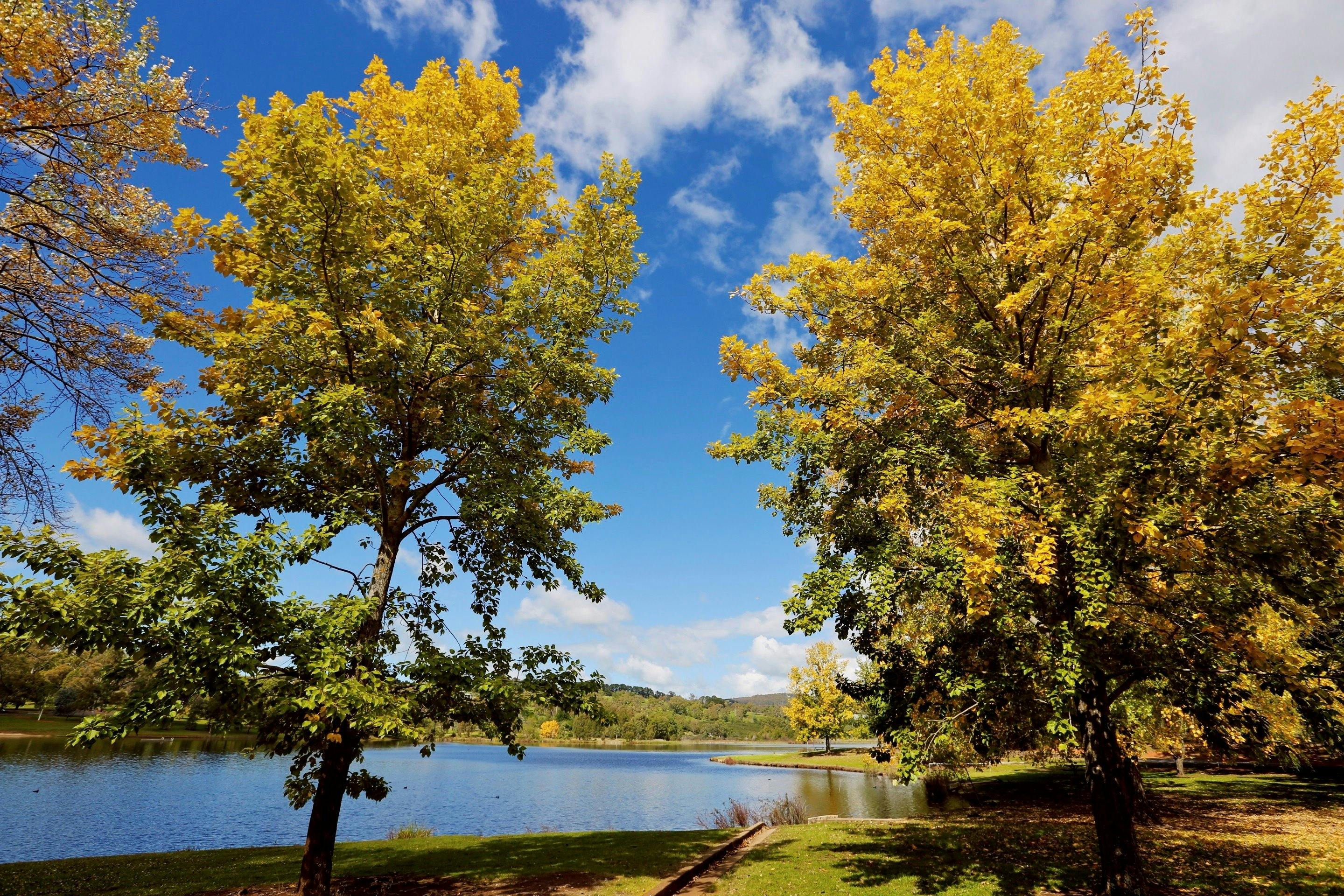 Lake Canobolas foreshore