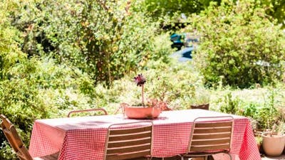 Surveyors Hill Vineyard