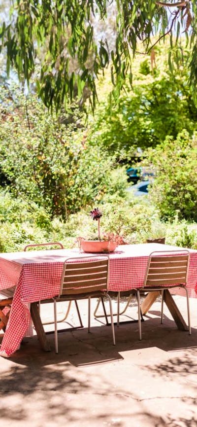 Surveyors Hill Vineyard