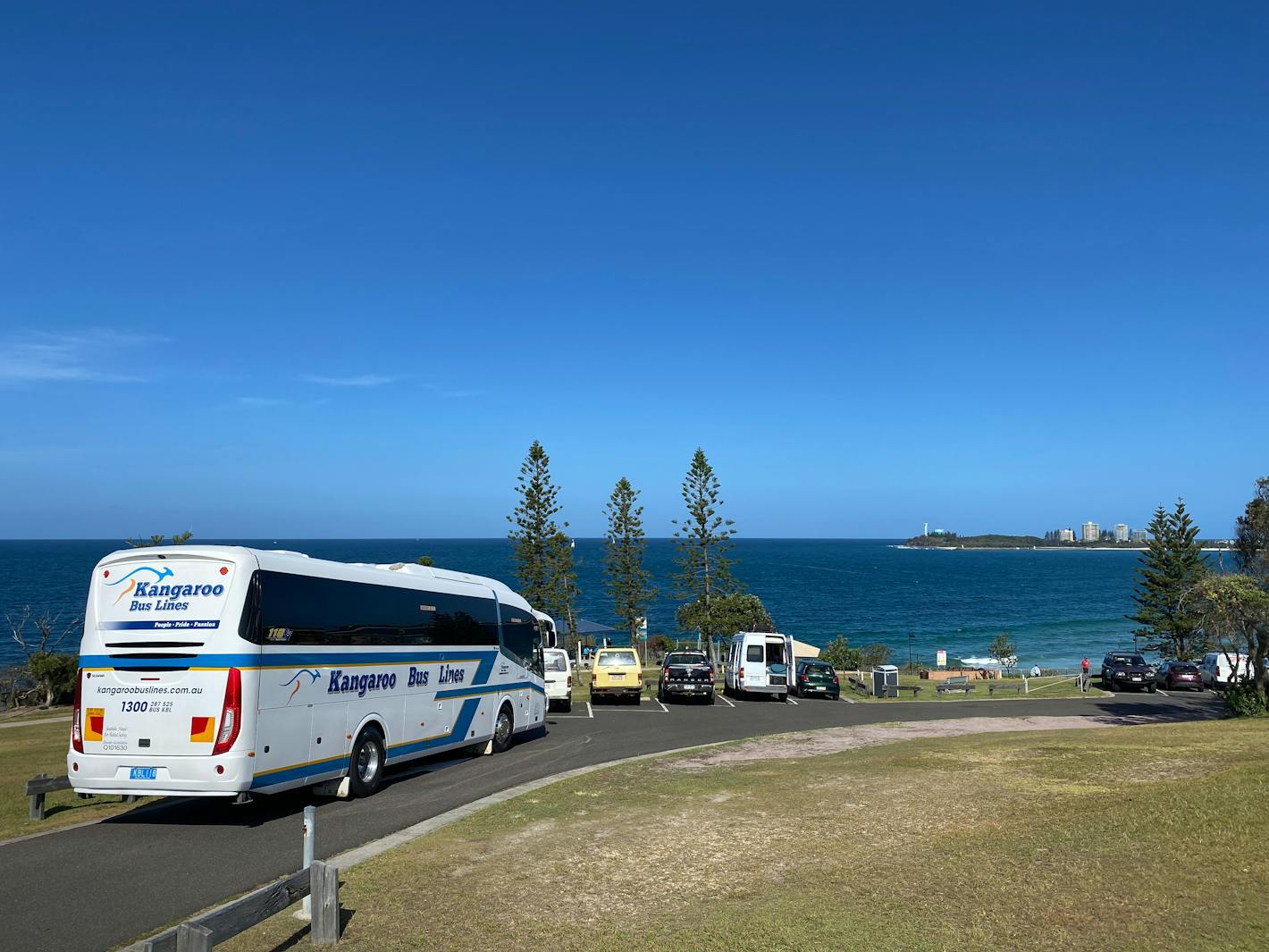 kangaroo bus lines day trips
