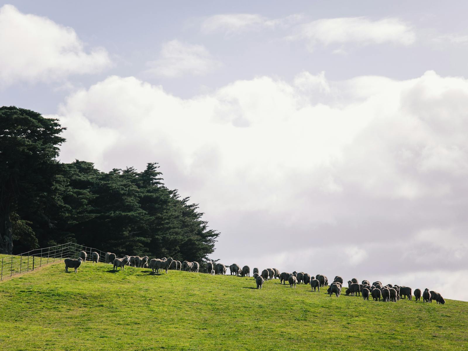 Surrounding Farm (operational)