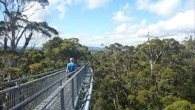 Walpole-Nornalup National Park, Walpole, Western Australia