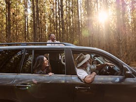 Warrawindi escapes private farm experiences, regenerative farming native animals, kangaroos emus