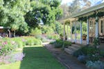 Picture of a house with steps leading down into the lawn with surrounding pathway and garden beds.