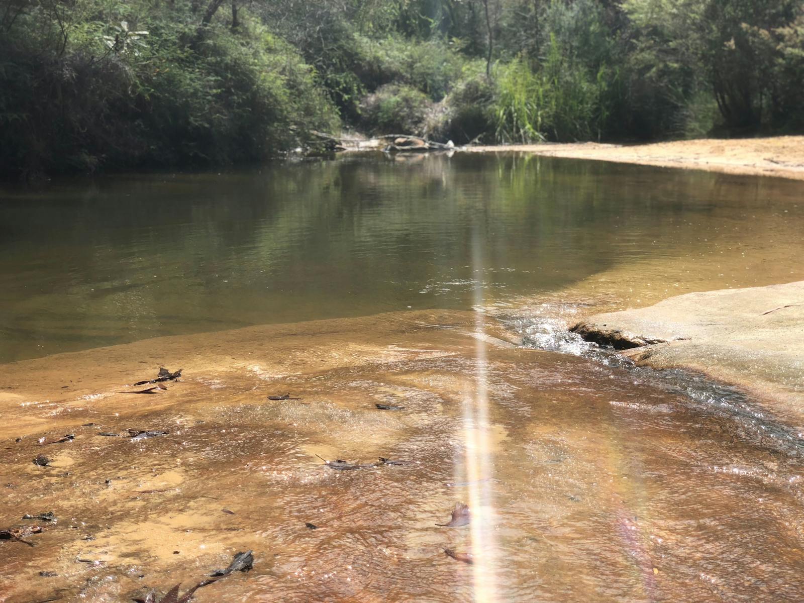 Image for Warigala Badha Cultural Walk (Ben's Walk Nowra)