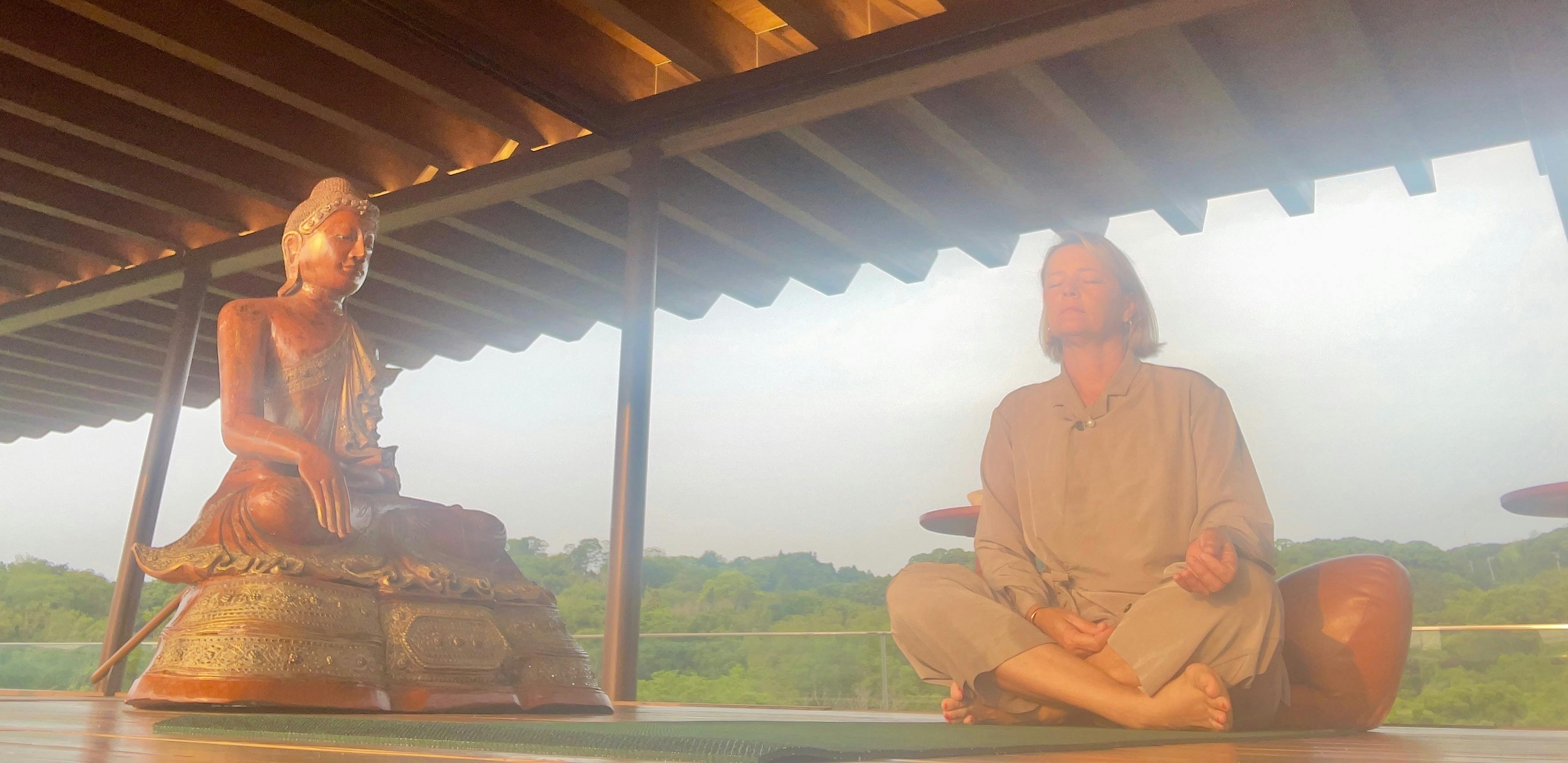 Mizu and Mori Wellness Experiences