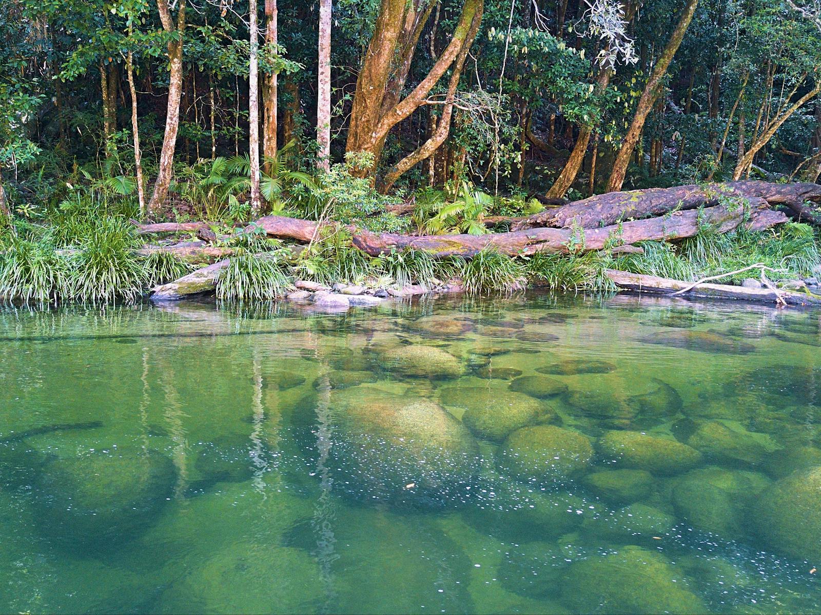 Mossman Gorge
