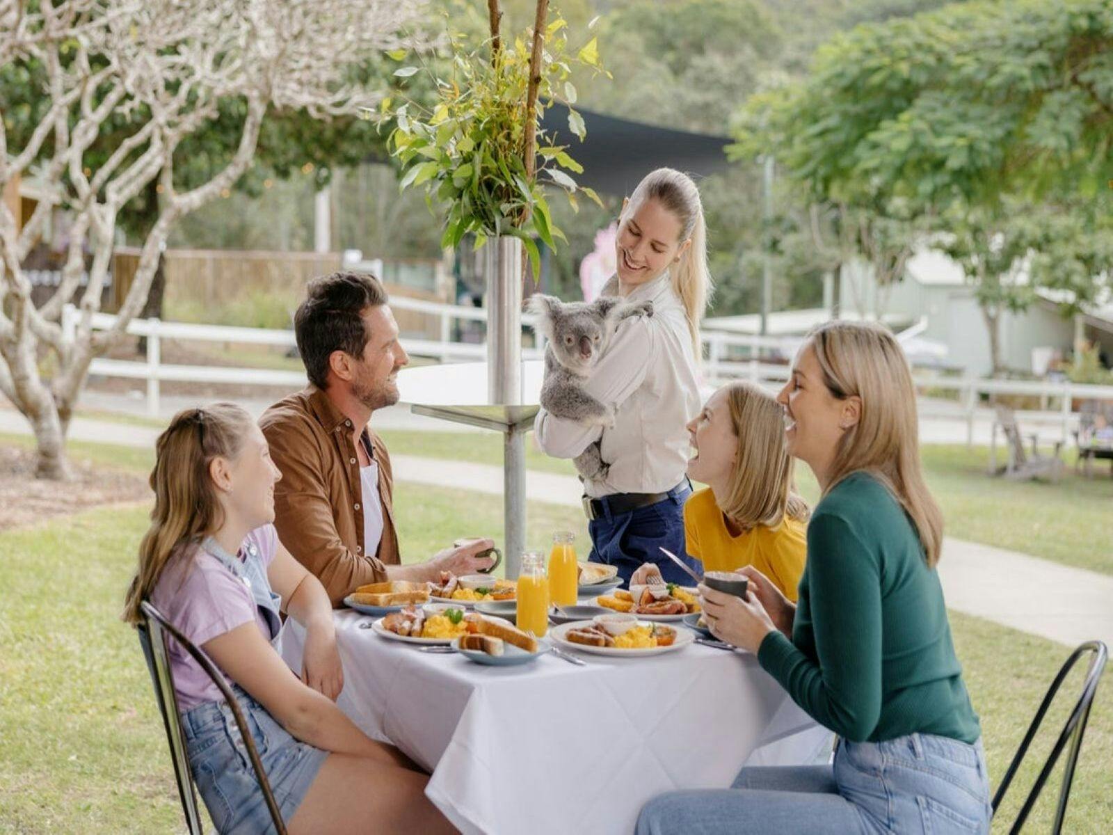 Paradise Country Koala Breakfast