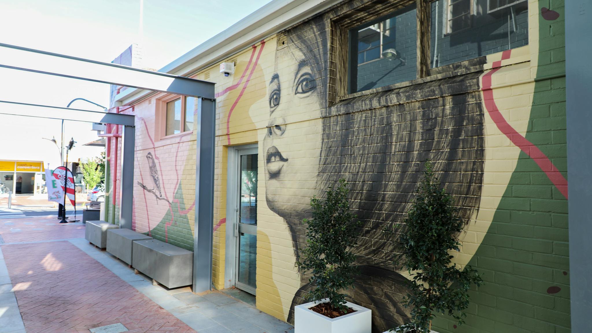 Vanguard by Kirrily Anderson