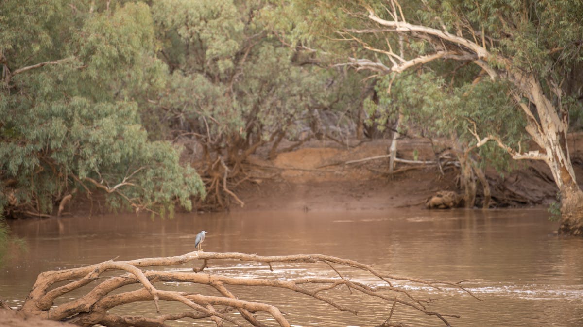 Paroo River