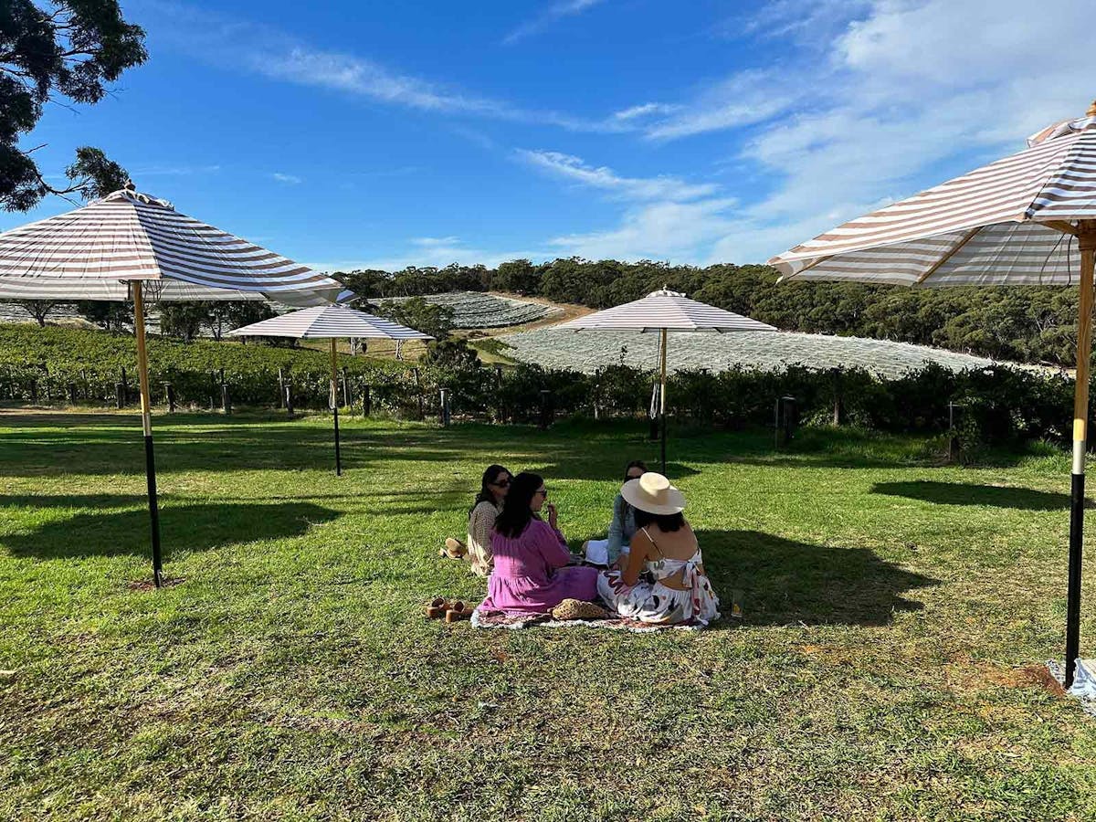 Cocktails on the lawn