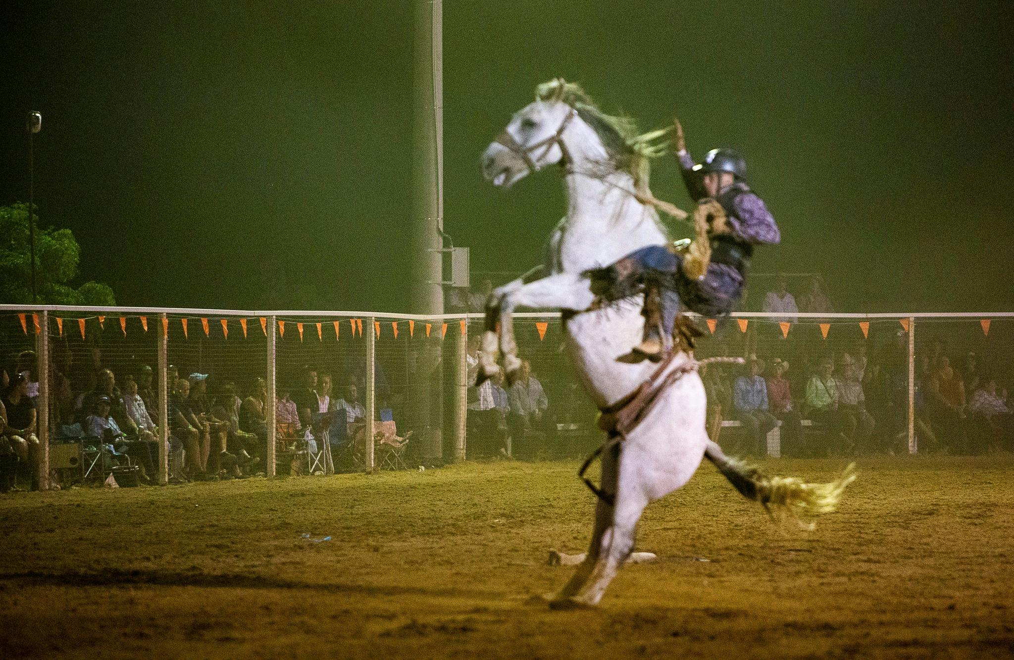 Bronc