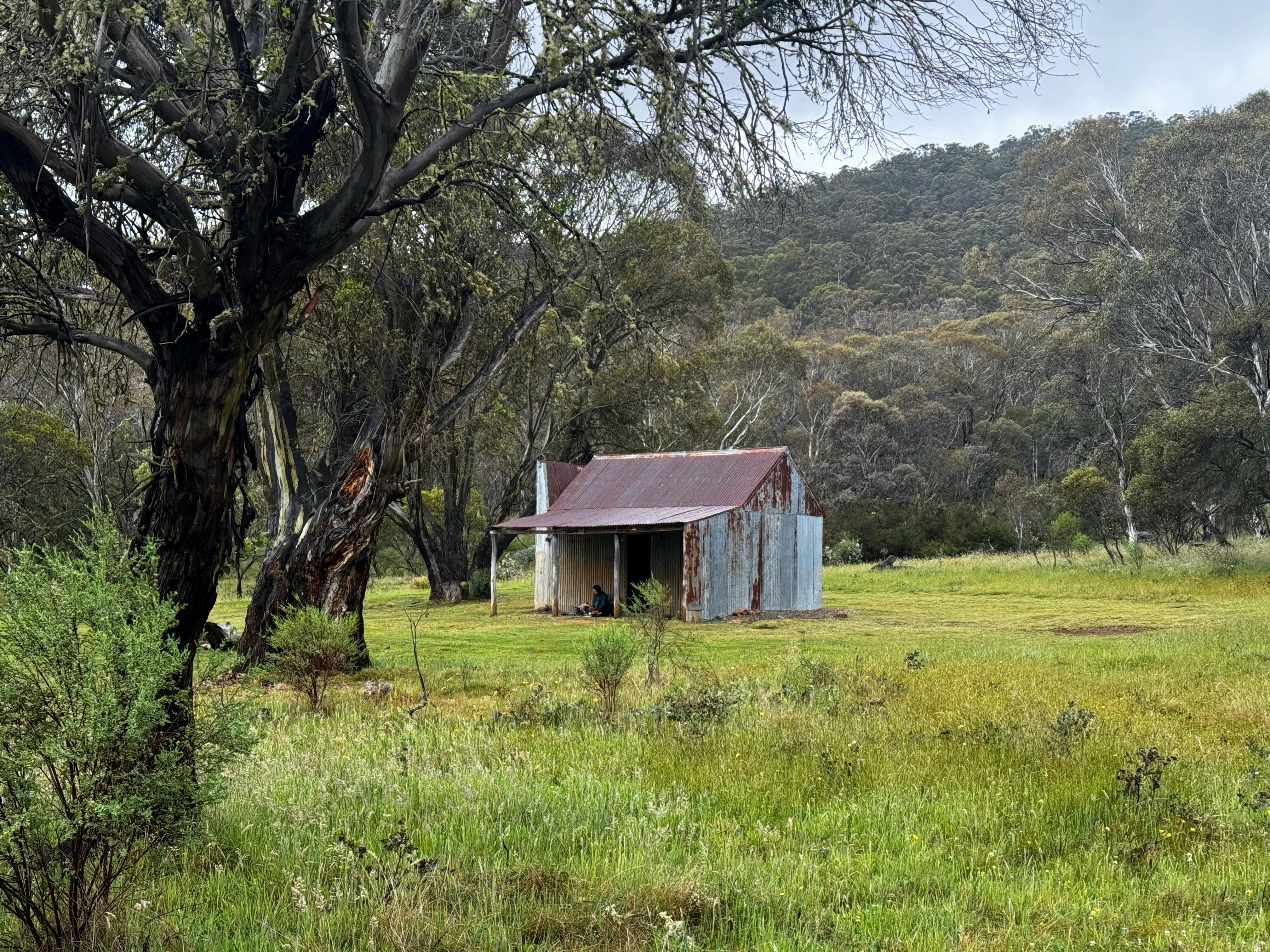 A metal hut in the middle of a grassy open plain.