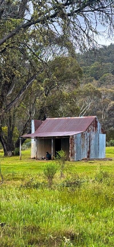 A metal hut in the middle of a grassy open plain.
