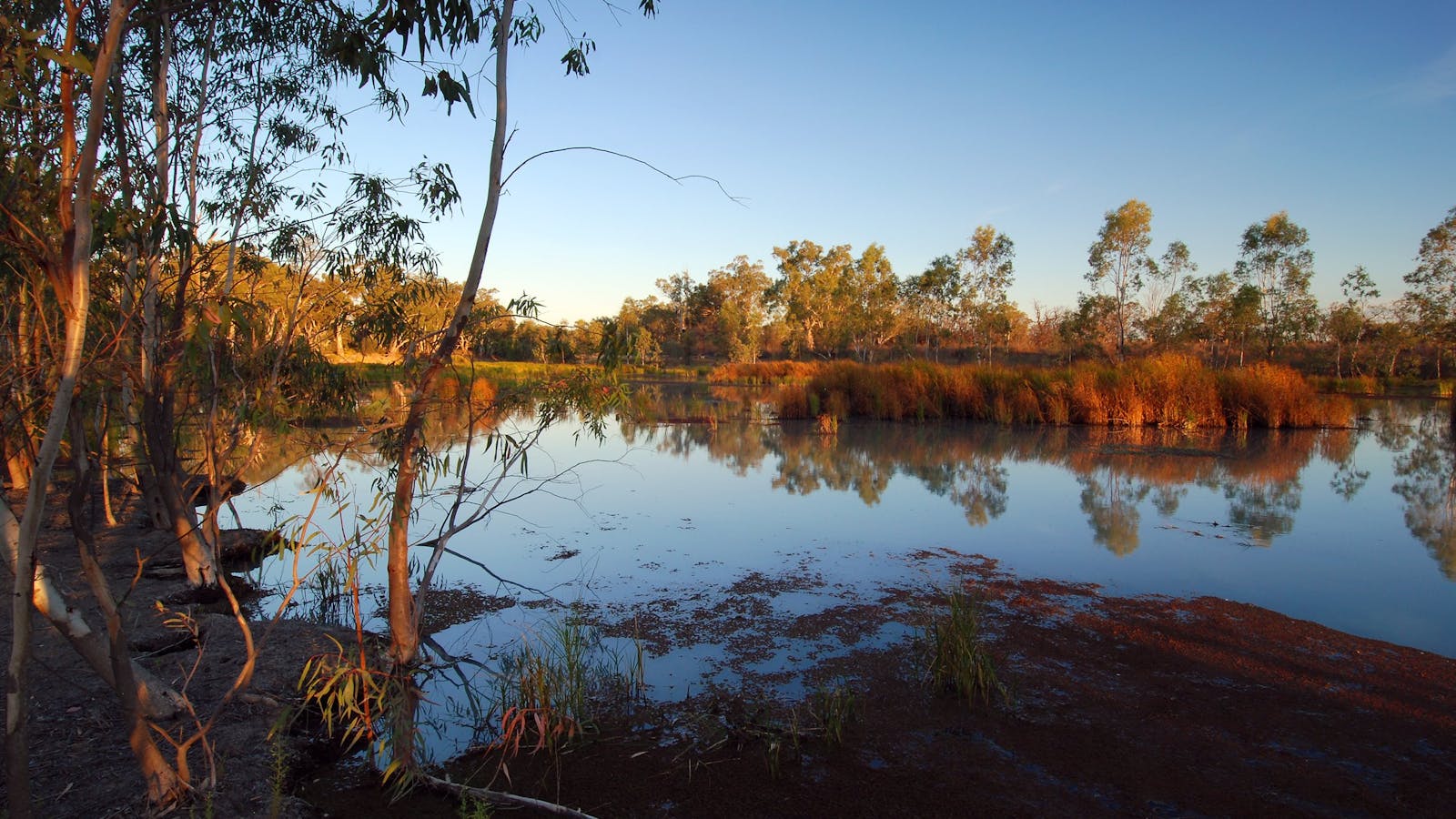Murray River National Park