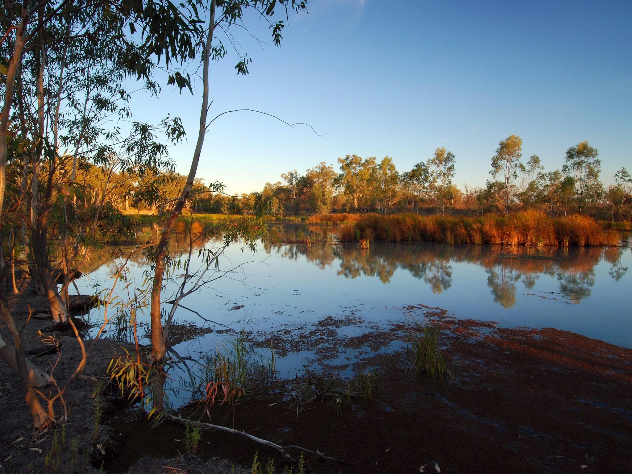 murray river