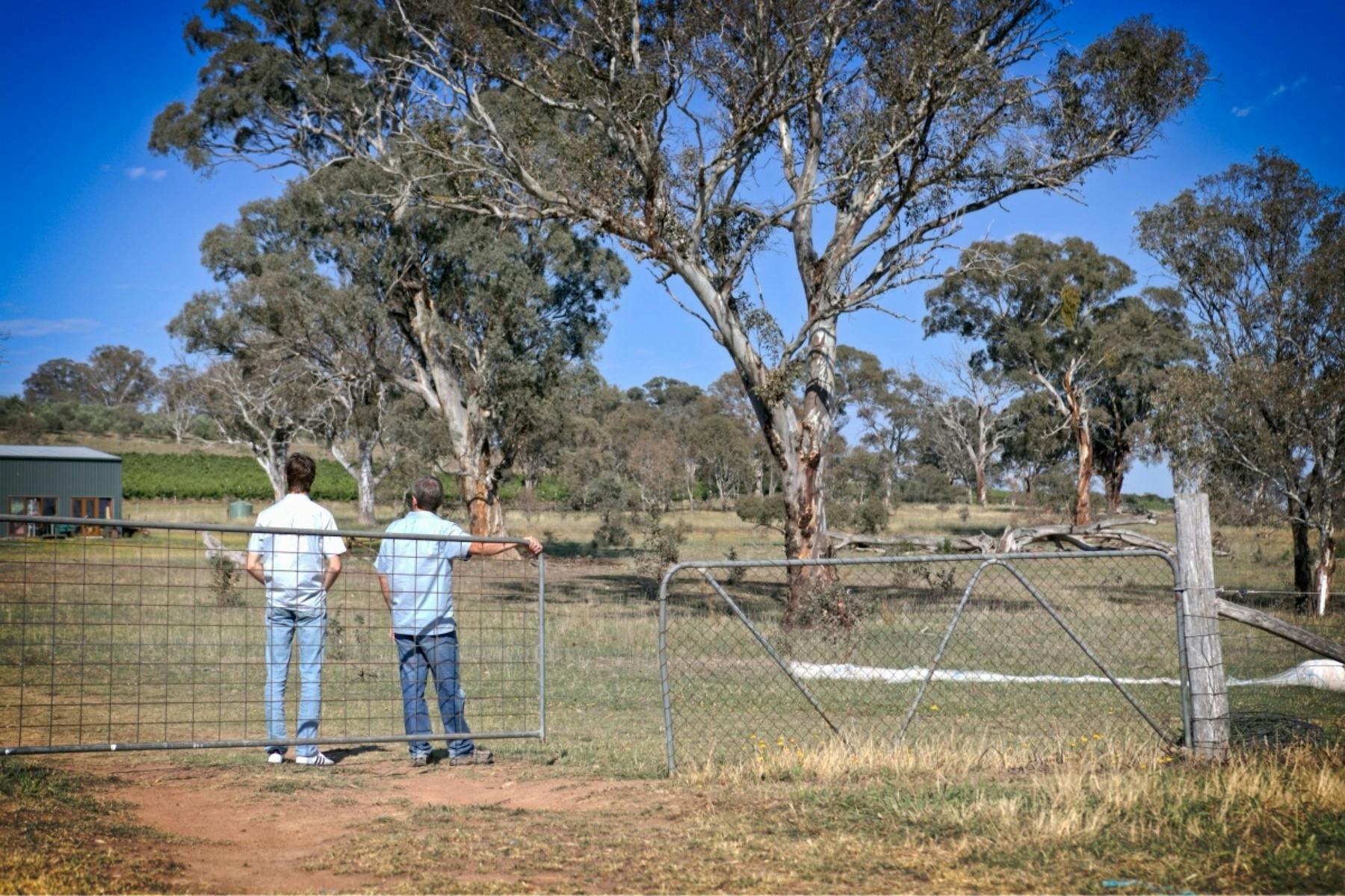 Barton Estate Winery