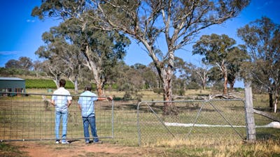 Barton Estate Winery